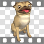 Pug dog panting