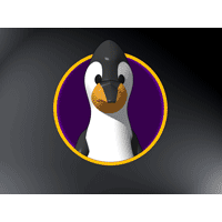 Penguin PowerPoint Background