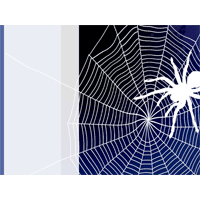 Spider PowerPoint Background