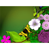 Butterflies PowerPoint Background