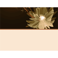 Lotus PowerPoint Background