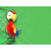 Parrot PowerPoint Background