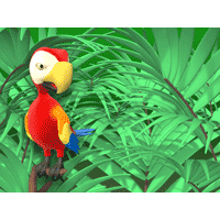 Parrot PowerPoint Background
