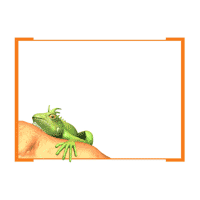 Iguana PowerPoint Background