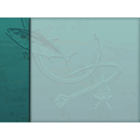 Fish PowerPoint Background