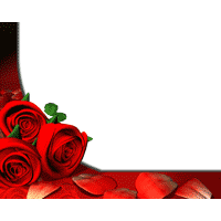 Rose PowerPoint Background