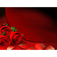 Rose PowerPoint Background