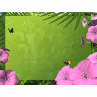Tropic PowerPoint Background