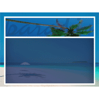 Tropical PowerPoint Background