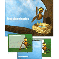 Bird PowerPoint Template