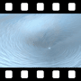 Vortex Video