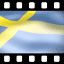 Flag Video