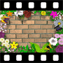Flowers Video