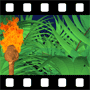Plants Video
