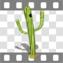 Dancing cactus