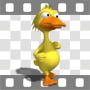 Duck walking proudly