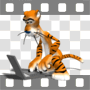 Tiger typing on laptop computer