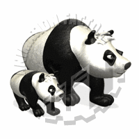 Pandas Animation