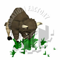 Bison Animation