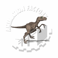 Raptor Animation