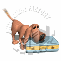 Canine Animation