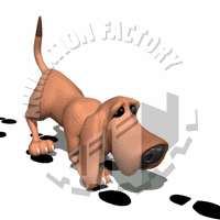 Bloodhound Animation