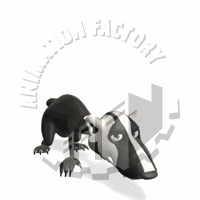 Badger Animation