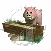 Swine Animation