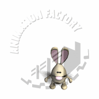 Bunny Animation