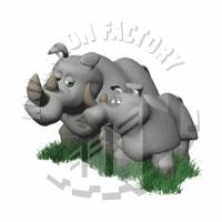 Rhinos Animation