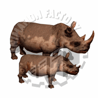 Rhino Animation