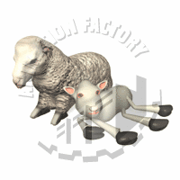 Sheared Animation