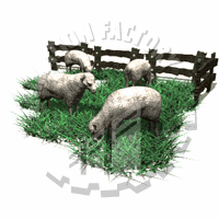 Lamb Animation