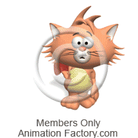 Feline Animation