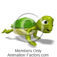 Reptile Animation