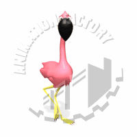 Bird's Animation