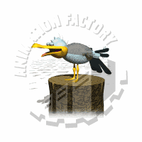 Gull Animation