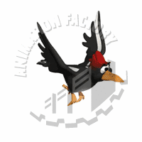 Woodpecker Animation