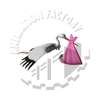 Stork Animation