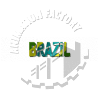 Brazilian Animation