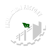 Pakistan Animation