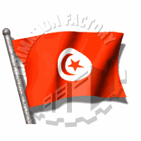 Tunisian Animation
