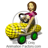 Driving Animation