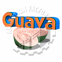 Guava Animation