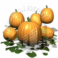 Gourds Animation