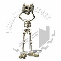 Skull Animation