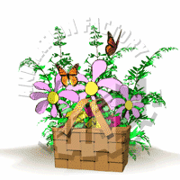 Butterflies Animation