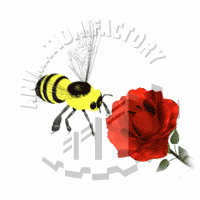 Pollination Animation
