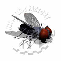 Pest Animation
