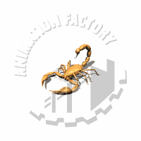 Scorpion Animation